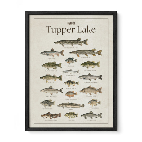 Tupper Lake Print