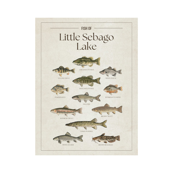 Little Sebago Lake Print