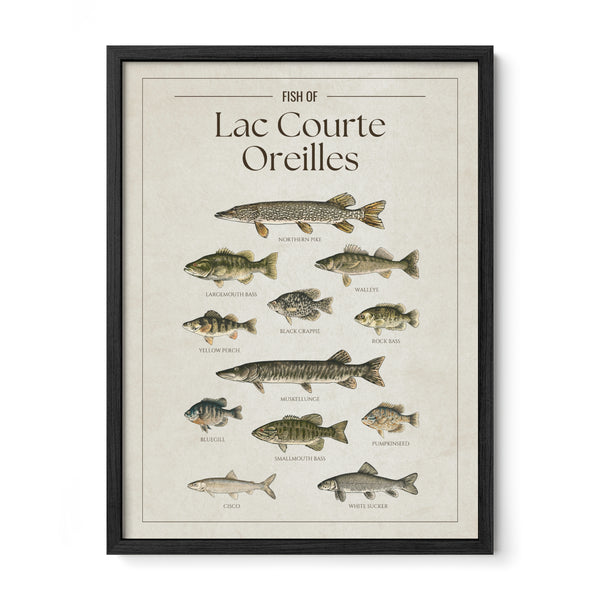Lac Courte Oreilles Print