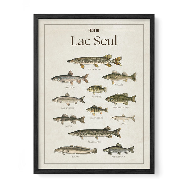 Lac Seul Print