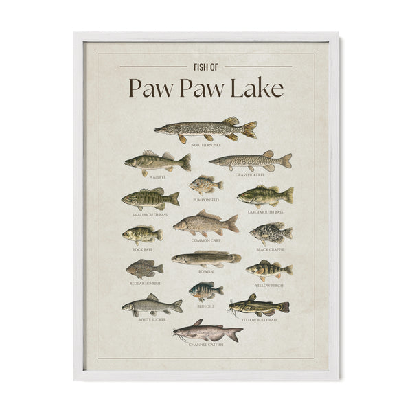 Paw Paw Lake