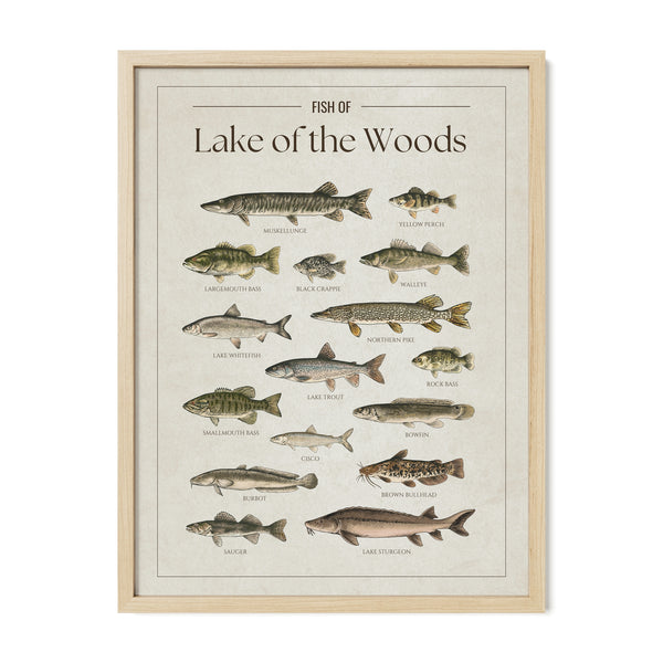 Lake of the Woods Print
