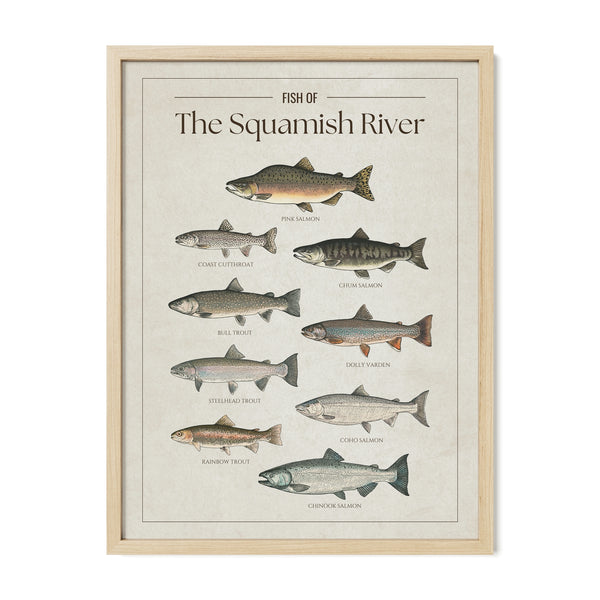 Squamish River Print