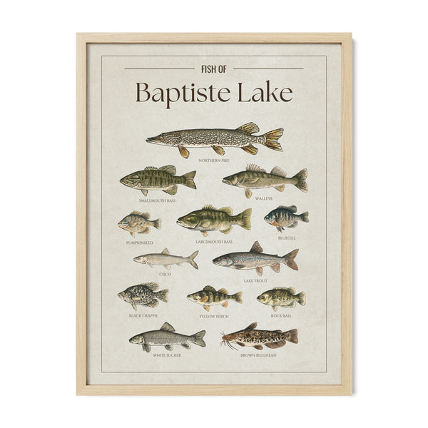 Baptiste Lake Print