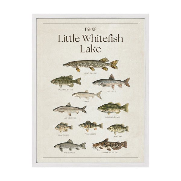 Little Whitefish Lake Print