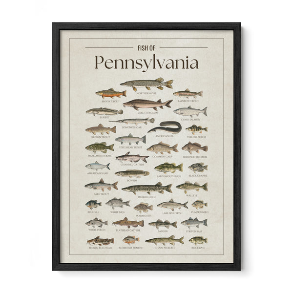 Pennsylvania Print