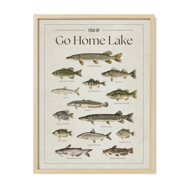 Go Home Lake Print
