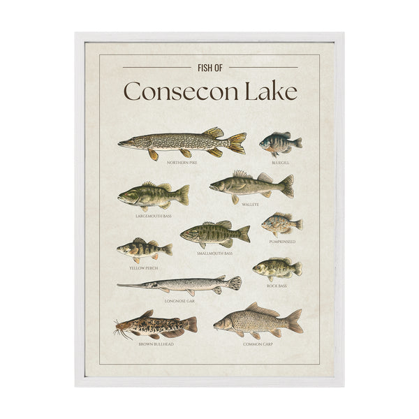 Consecon Lake Print