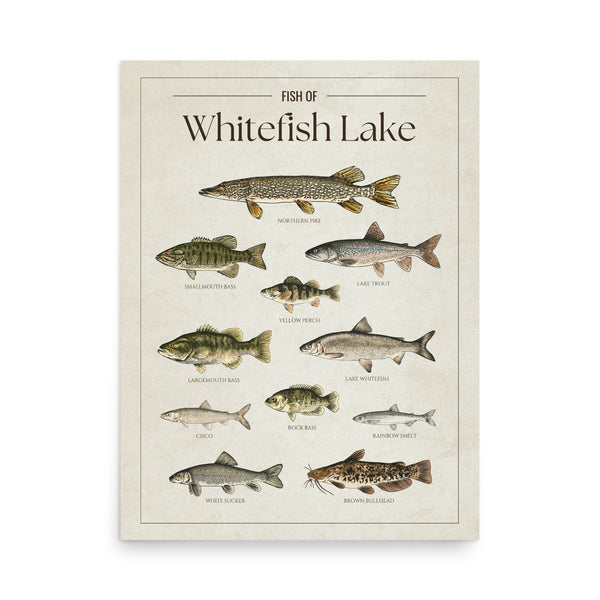 Whitefish Lake Print