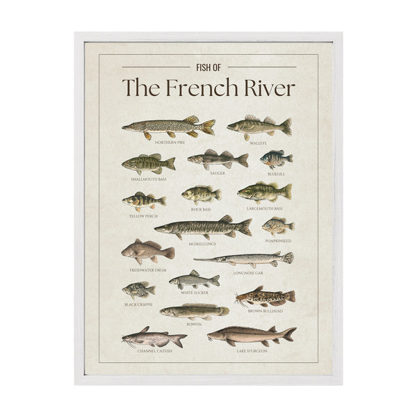 French River Print