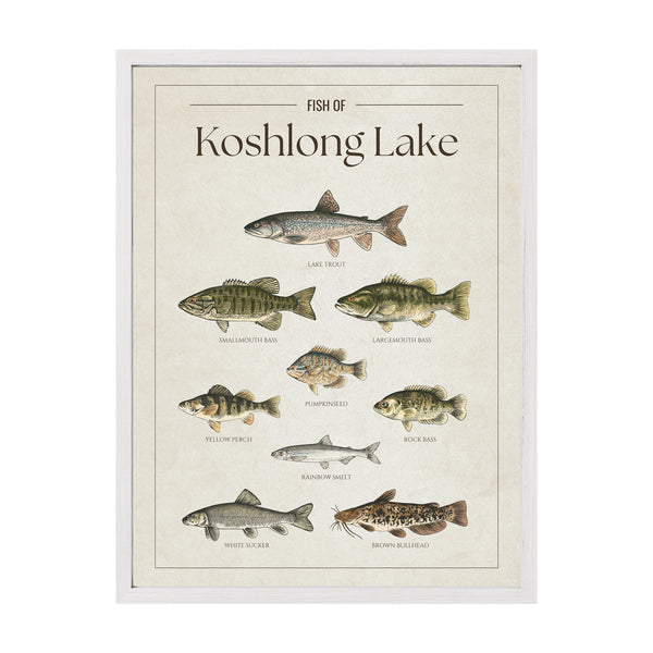 Koshlong Lake Print