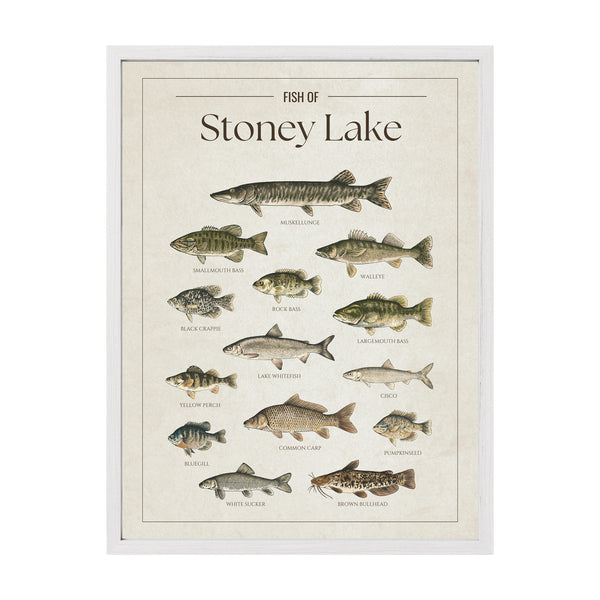 Stoney Lake Print