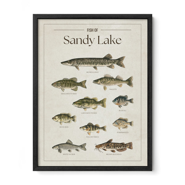 Sandy Lake Print