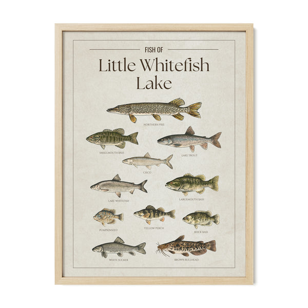 Little Whitefish Lake Print