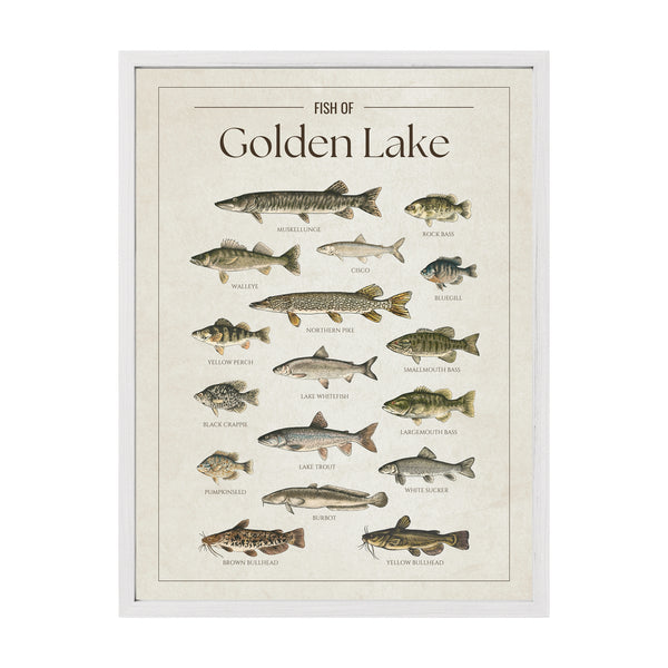 Golden Lake Print