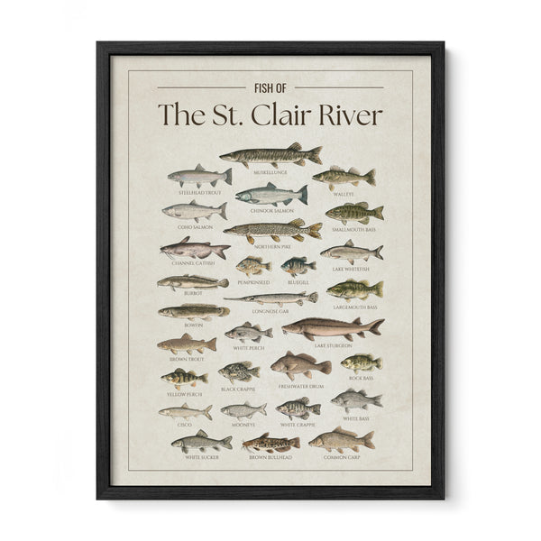 St. Clair River Print