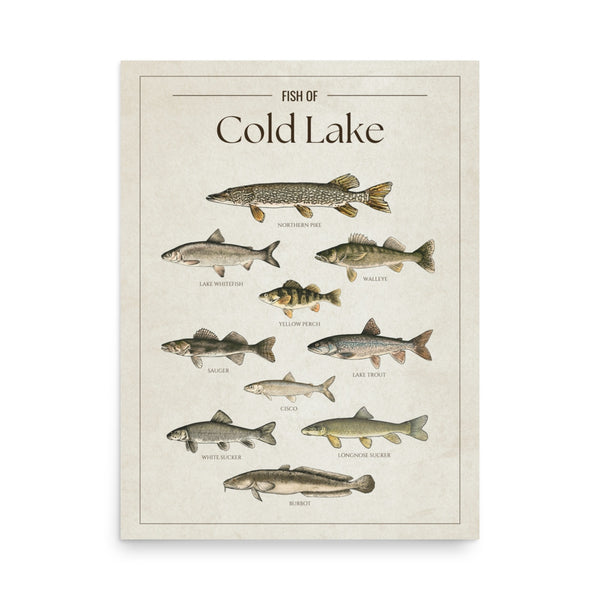 Cold Lake Print