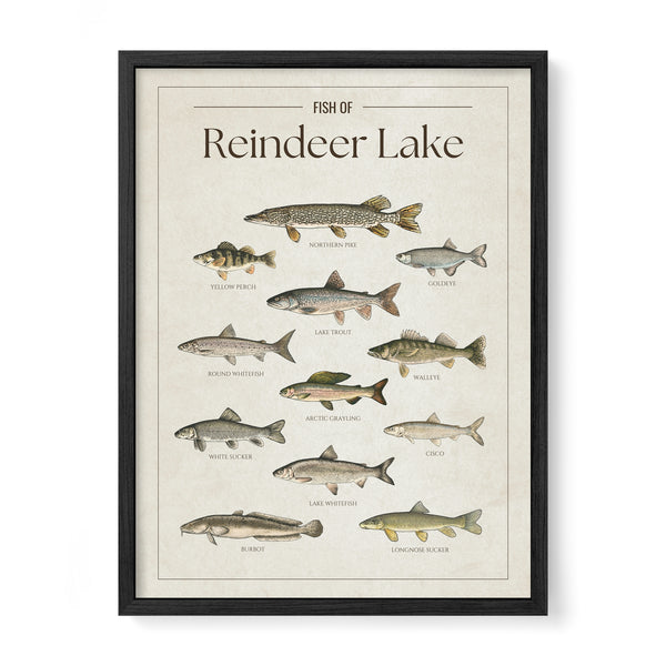 Reindeer Lake Print