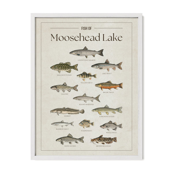 Moosehead Lake Print
