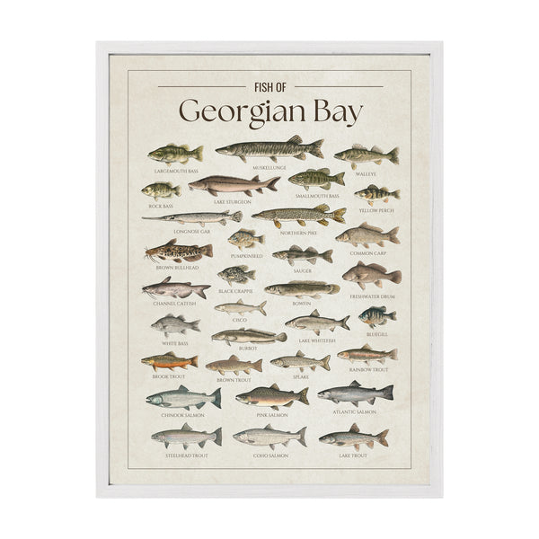 Georgian Bay Print