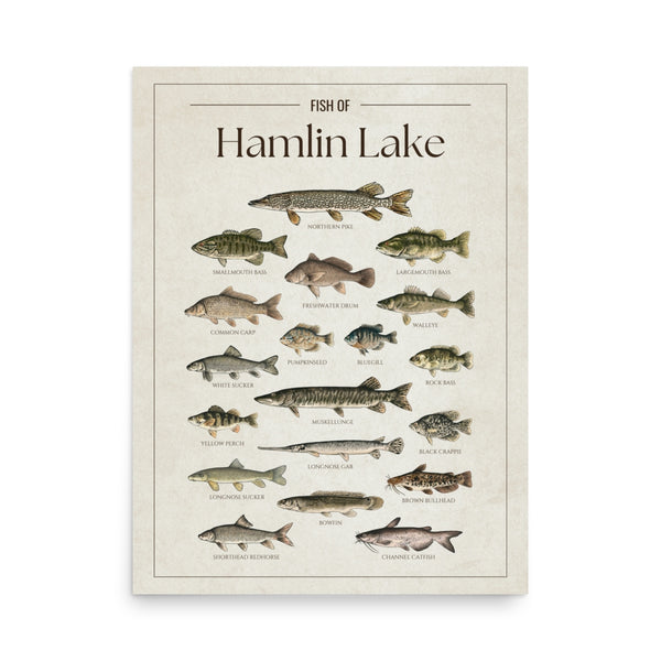 Hamlin Lake Print