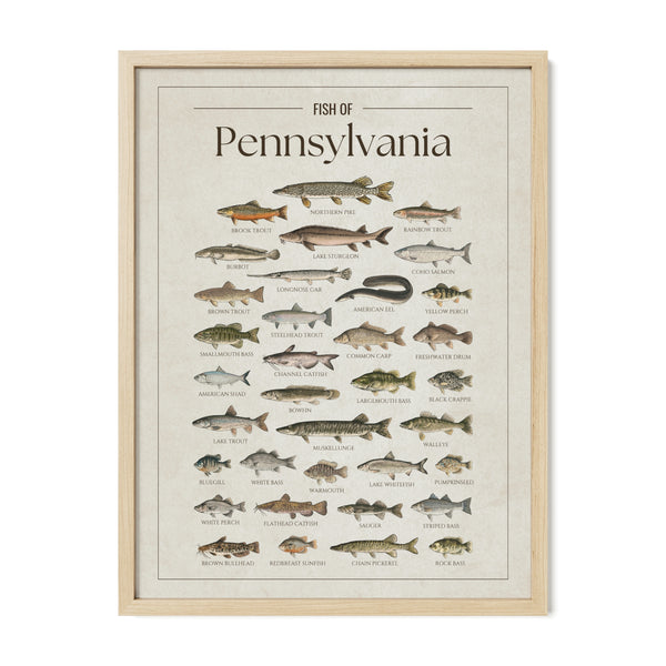 Pennsylvania Print