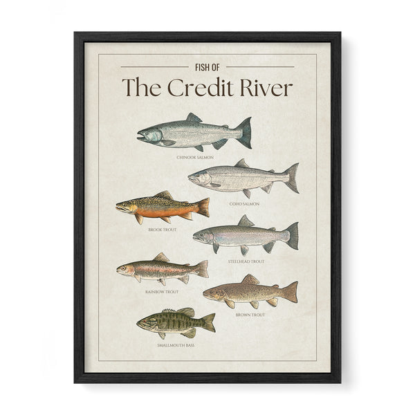 Credit River Print