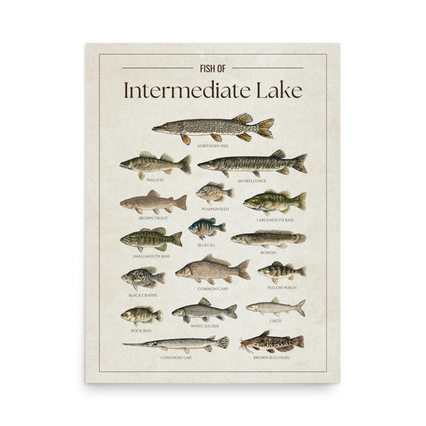 Intermediate Lake Print