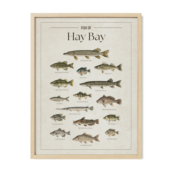 Hay Bay Print