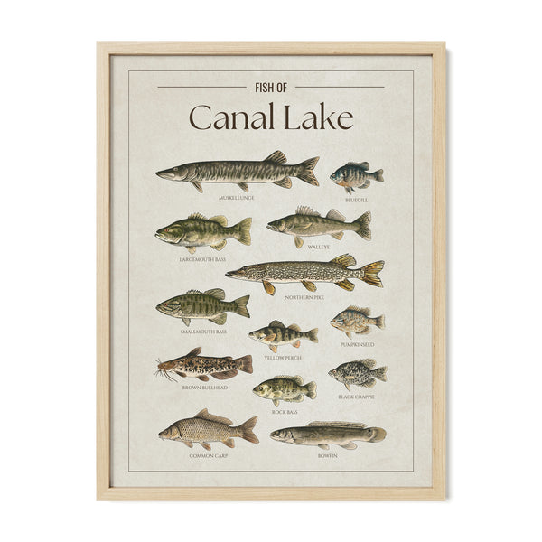 Canal Lake Print