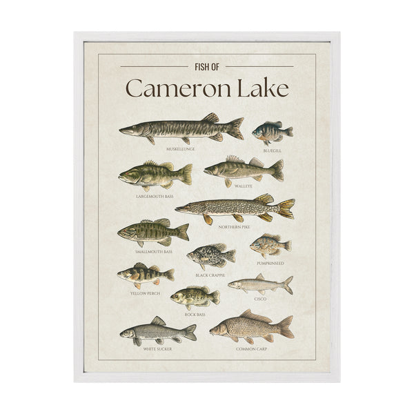 Cameron Lake Print