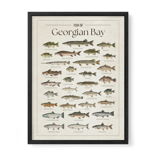 Georgian Bay Print