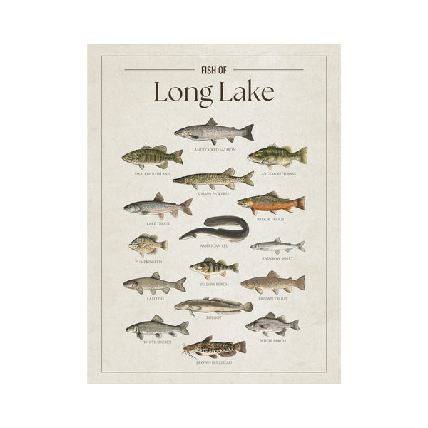 Long Lake (Maine)