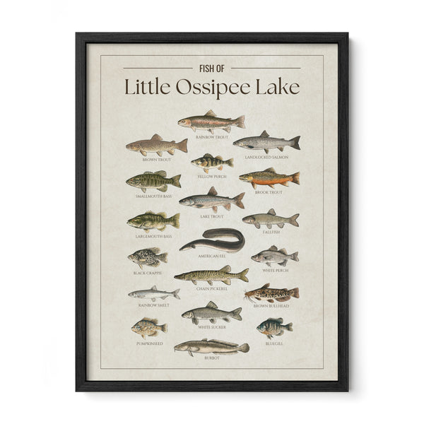 Little Ossipee Lake Print