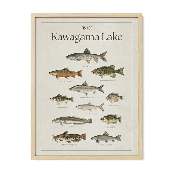 Kawagama Lake Print