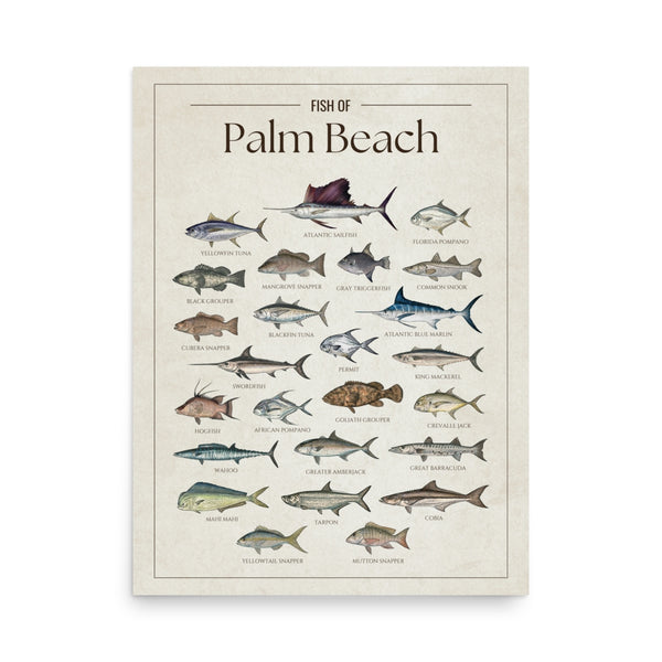 Palm Beach Print