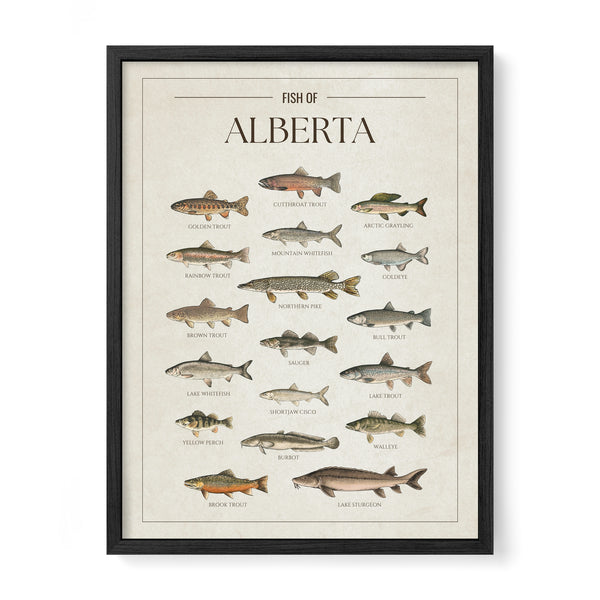 Alberta Print