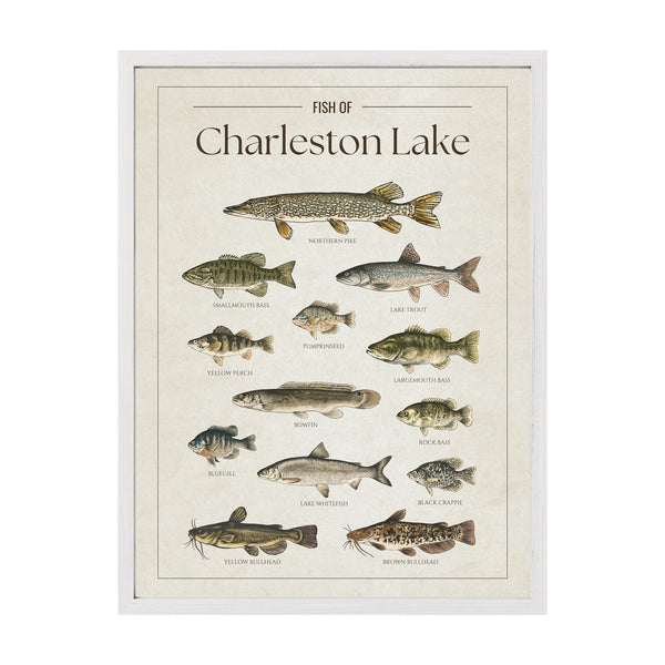 Charleston Lake Print