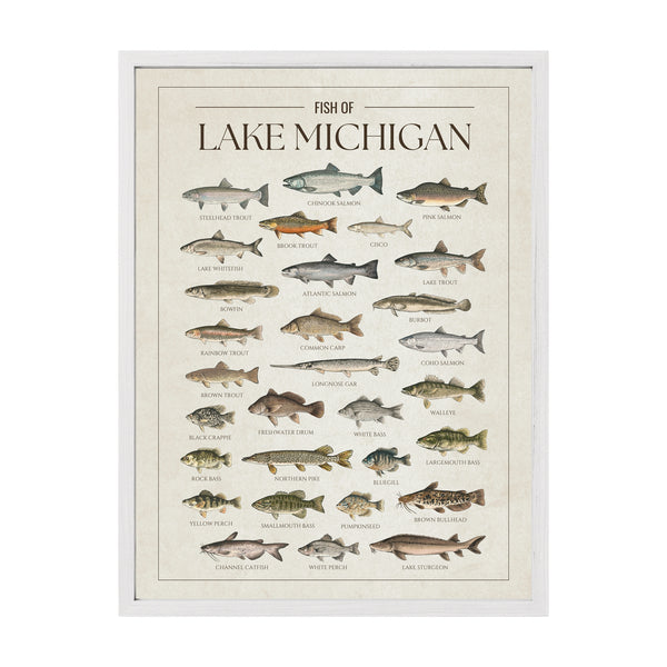 Lake Michigan Print