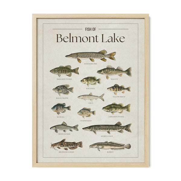 Belmont Lake Print