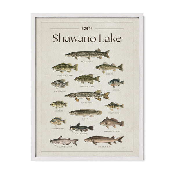 Shawano Lake Print