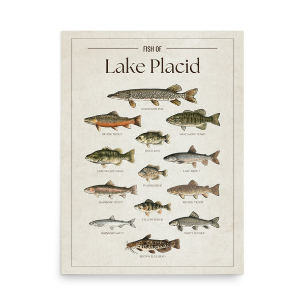 Lake Placid Print