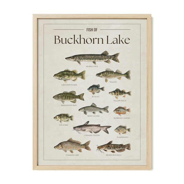 Buckhorn Lake Print