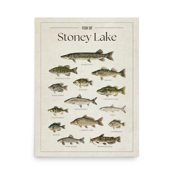 Stoney Lake Print