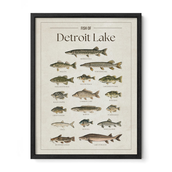 Detroit Lake Print