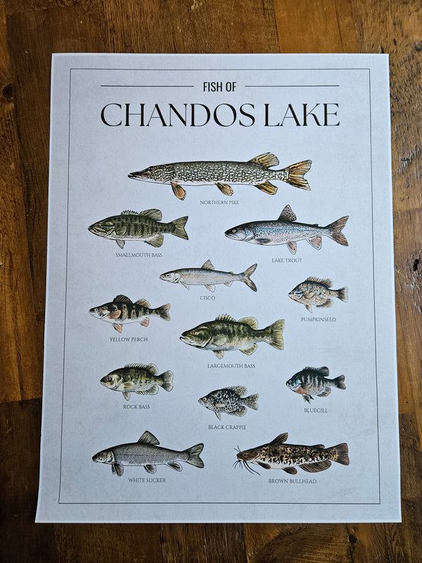 Custom Fish Chart - Print