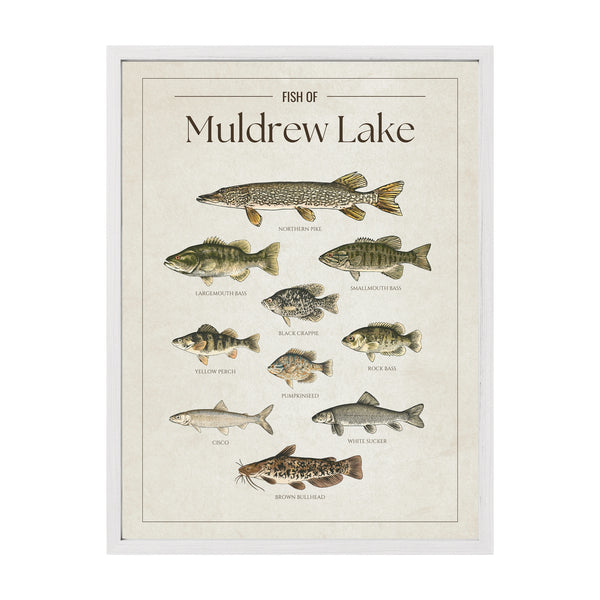 Muldrew Lake Print