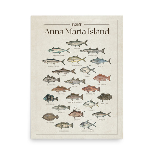 Anna Maria Island Print