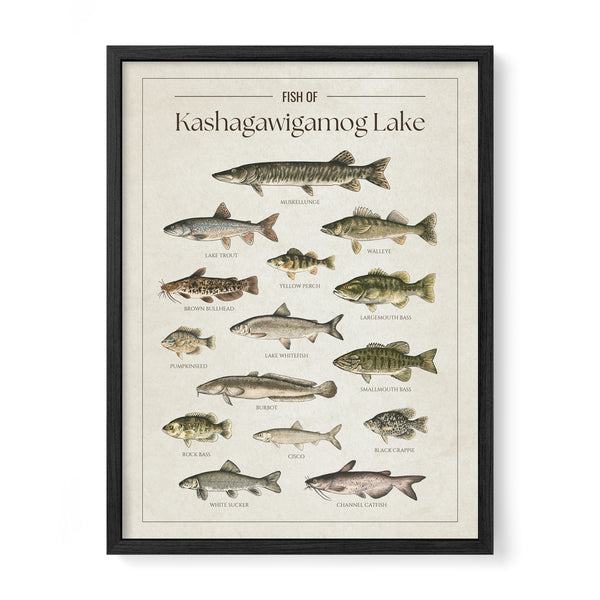 Kashagawigamog Lake Print