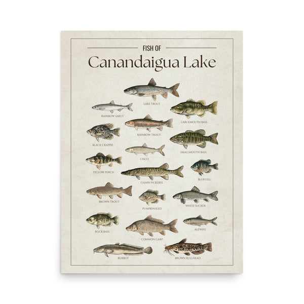 Canandaigua Lake Print